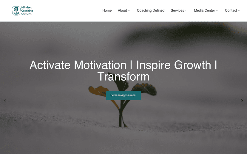 Mindset Coaching Services